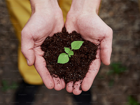 體系認(rèn)證證書(shū)