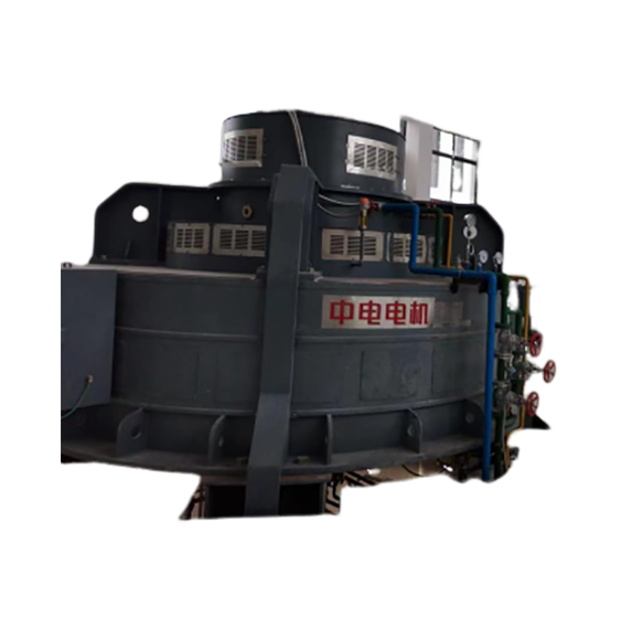 大型水泵用立式同步電動(dòng)機(jī)